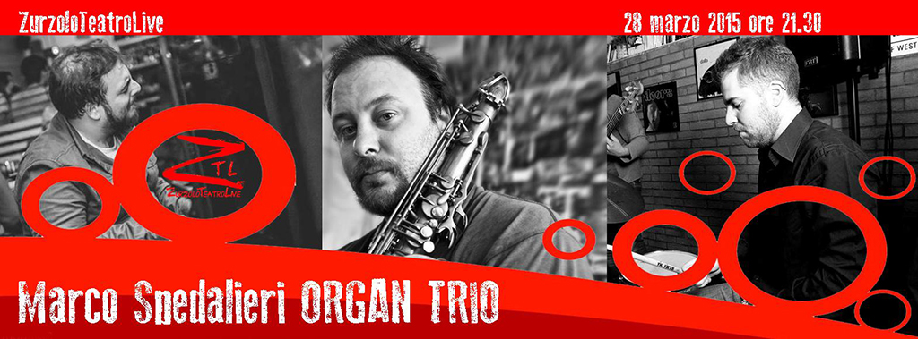 Al momento stai visualizzando 28/03/2015 – Marco Spedaliere ORGAN TRIO